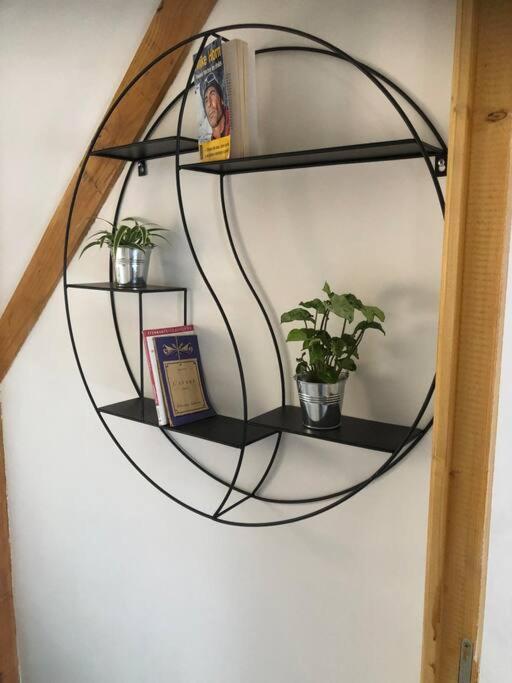Cottage Cocooning Romantique Avec Jaccuzzi Prive Ancinnes Exteriör bild
